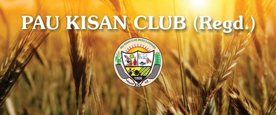 Wheat harvest field, PAU Kisan Club