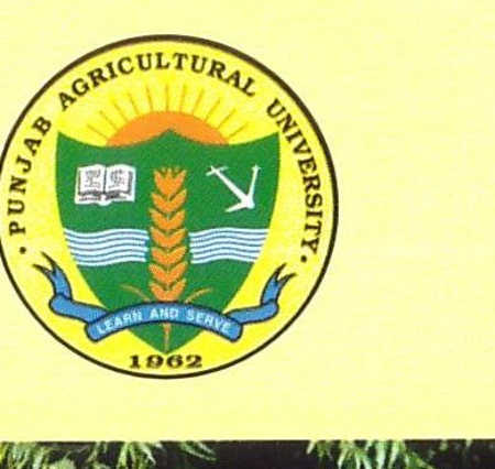 Punjab Agricultural University emblem